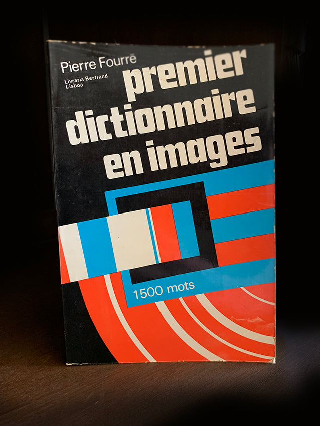 Premier Dictionnaire en Images